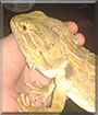 Name:  large (1).jpg
Views: 169
Size:  13.2 KB