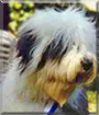 Name:  large.jpg
Views: 142
Size:  12.1 KB