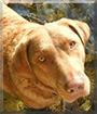 Name:  large.jpg
Views: 171
Size:  14.2 KB
