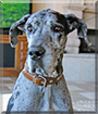 Name:  dog.jpg
Views: 1118
Size:  14.5 KB