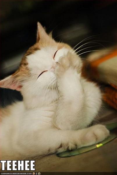 kittyTeeHee