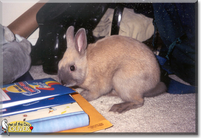 Name:  24.jpg
Views: 281
Size:  141.0 KB