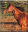 Name:  large.jpg
Views: 176
Size:  20.1 KB