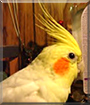 Name:  large (1).jpg
Views: 147
Size:  12.3 KB