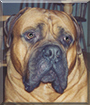 Name:  large.jpg
Views: 165
Size:  12.6 KB
