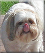Name:  large.jpg
Views: 185
Size:  11.7 KB