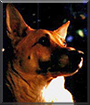 Name:  large.jpg
Views: 209
Size:  13.3 KB