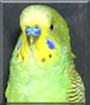 Name:  large.jpg
Views: 278
Size:  12.8 KB