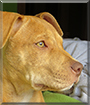 Name:  large.jpg
Views: 266
Size:  12.1 KB