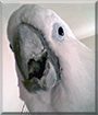 Name:  large.jpg
Views: 192
Size:  9.5 KB
