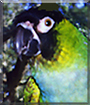 Name:  large (1).jpg
Views: 140
Size:  15.0 KB