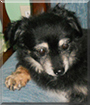 Name:  large.jpg
Views: 187
Size:  12.0 KB