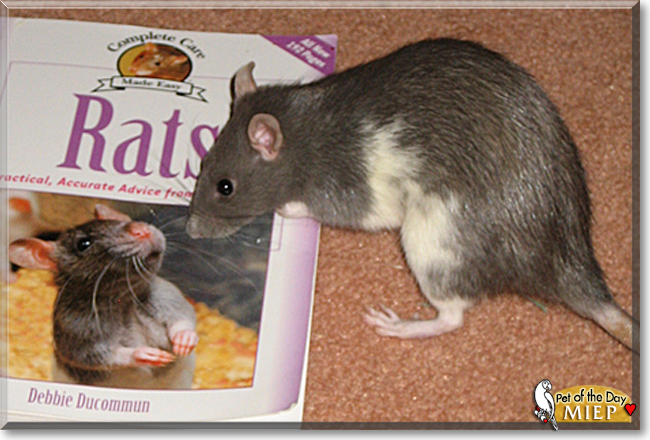 Name:  08.jpg
Views: 153
Size:  224.1 KB