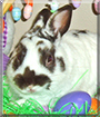 Name:  large (1).jpg
Views: 142
Size:  15.2 KB
