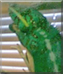 Name:  large.jpg
Views: 145
Size:  11.0 KB