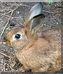Name:  large1.jpg
Views: 313
Size:  11.3 KB