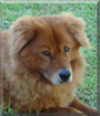 Name:  large (1).jpg
Views: 413
Size:  11.0 KB