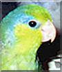 Name:  large.jpg
Views: 265
Size:  12.2 KB