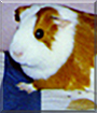 Name:  large.jpg
Views: 181
Size:  12.7 KB