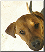 Name:  large.jpg
Views: 190
Size:  12.0 KB