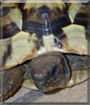 Name:  large (1).jpg
Views: 597
Size:  12.9 KB