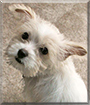 Name:  large.jpg
Views: 180
Size:  11.4 KB