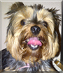 Name:  large.jpg
Views: 192
Size:  14.2 KB