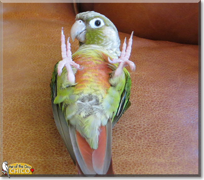 Name:  15b.jpg
Views: 170
Size:  296.7 KB