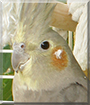 Name:  large (1).jpg
Views: 165
Size:  12.0 KB