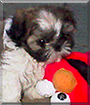 Name:  large.jpg
Views: 162
Size:  16.3 KB