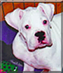 Name:  large (1).jpg
Views: 191
Size:  13.3 KB