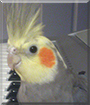 Name:  large.jpg
Views: 153
Size:  12.7 KB