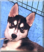 Name:  large.jpg
Views: 310
Size:  14.7 KB