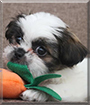 Name:  large.jpg
Views: 257
Size:  10.7 KB