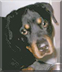 Name:  large (1).jpg
Views: 186
Size:  9.5 KB