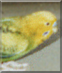 Name:  large11.jpg
Views: 266
Size:  11.4 KB