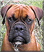 Name:  large.jpg
Views: 349
Size:  15.8 KB
