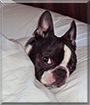 Name:  large (1).jpg
Views: 192
Size:  10.4 KB