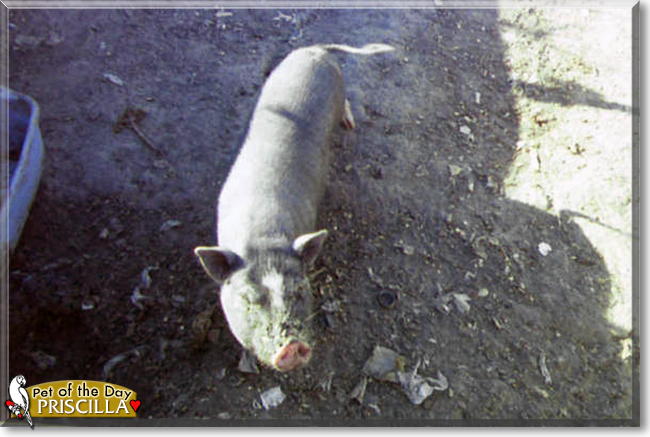 Name:  30.jpg
Views: 140
Size:  195.5 KB