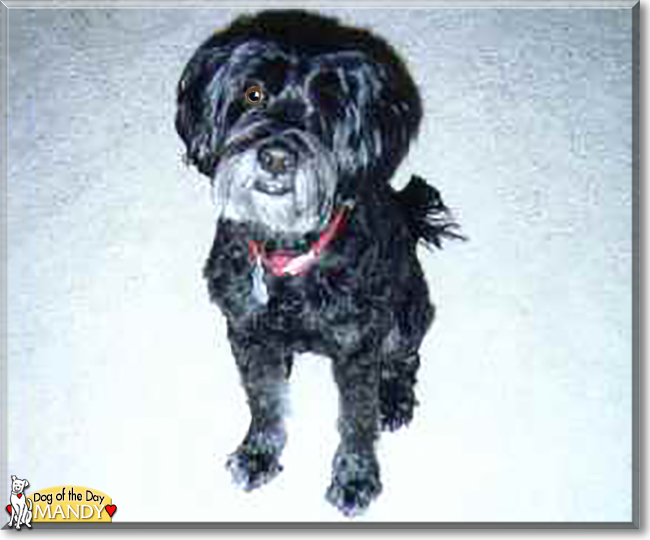 Name:  30 (1).jpg
Views: 176
Size:  124.5 KB