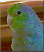 Name:  large (1).jpg
Views: 174
Size:  12.4 KB