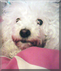 Name:  large.jpg
Views: 157
Size:  11.9 KB