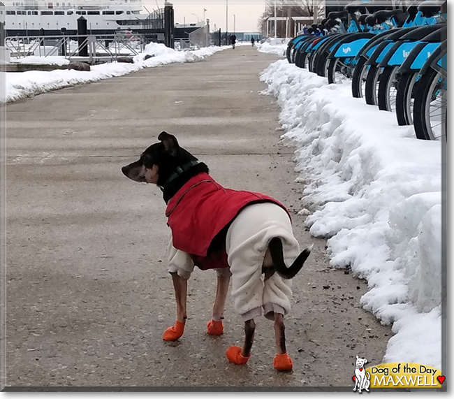 Name:  22f.jpg
Views: 204
Size:  259.0 KB