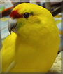 Name:  large (1).jpg
Views: 367
Size:  10.7 KB