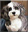 Name:  large.jpg
Views: 251
Size:  11.7 KB