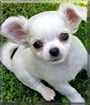 Name:  large.jpg
Views: 231
Size:  13.7 KB