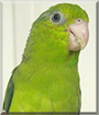 Name:  large (1).jpg
Views: 169
Size:  10.5 KB