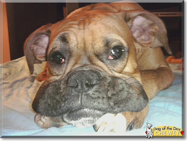 Name:  10.jpg
Views: 161
Size:  233.6 KB
