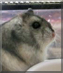 Name:  large (1).jpg
Views: 184
Size:  8.8 KB