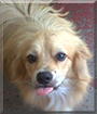 Name:  large.jpg
Views: 197
Size:  11.8 KB